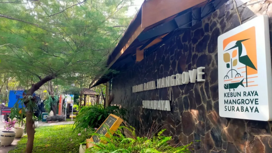 Kebun Raya Mangrove Surabaya, Dinilai Belum Siap Sambut Liburan Akhir