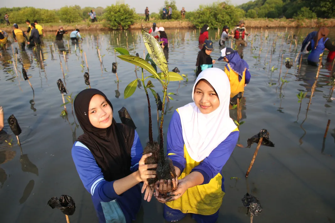 Kebun Raya Mangrove Surabaya Prioritaskan Konservasi Edukasi, Bukan PAD