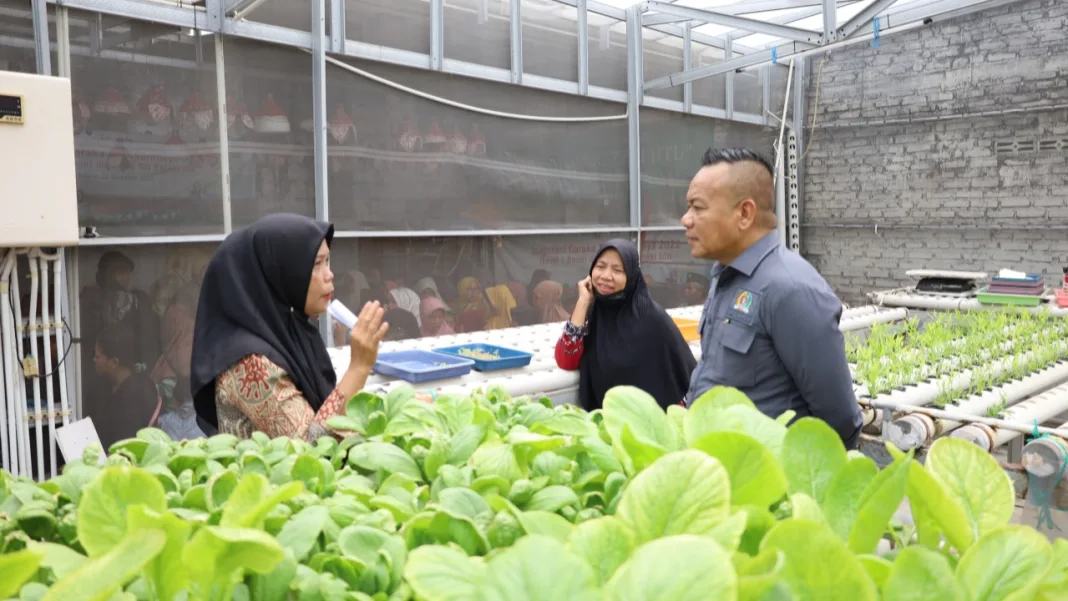 Dari Hidroponik ke Ayam Petelur, Cak Yebe Bangun Pangan Kampung